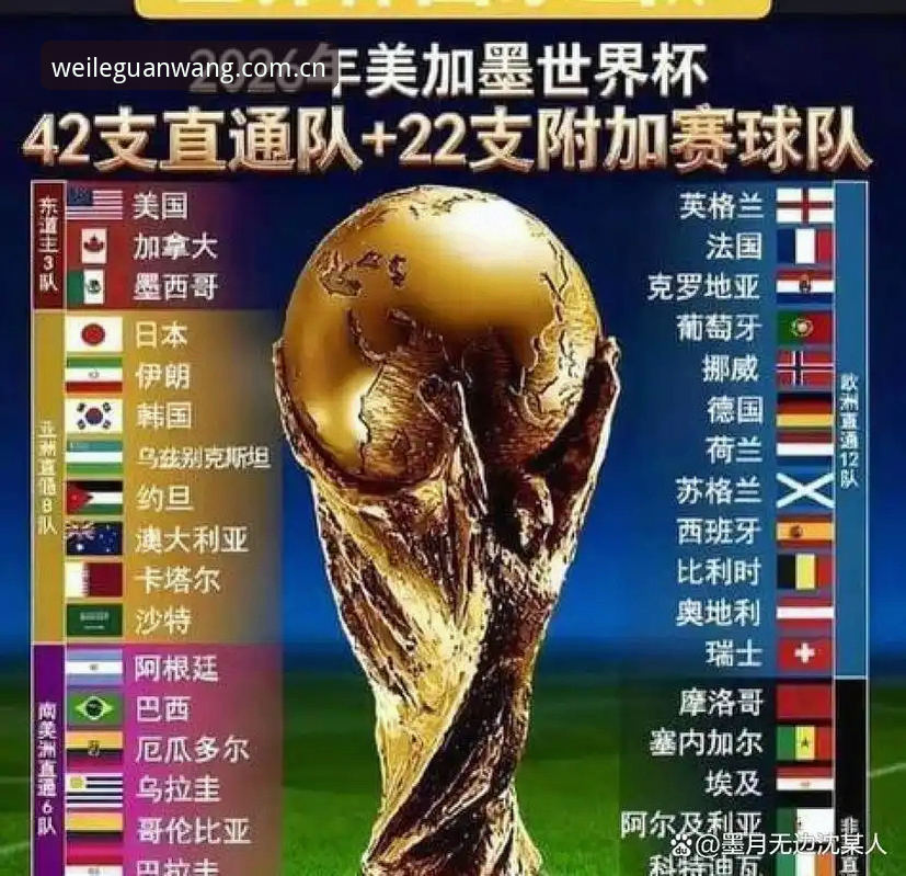 微乐资源下载必备 世界杯安保